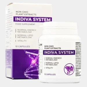 InDiva System